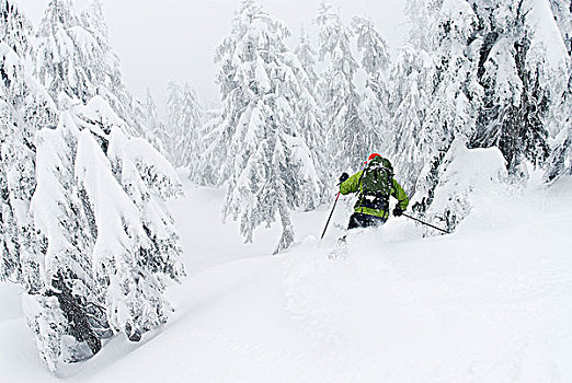 男人,滑雪,山,柏树,器具,西部,温哥华,不列颠哥伦比亚省,加拿大