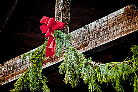 圣诞节,蝴蝶结,绿色,花环,悬挂,木