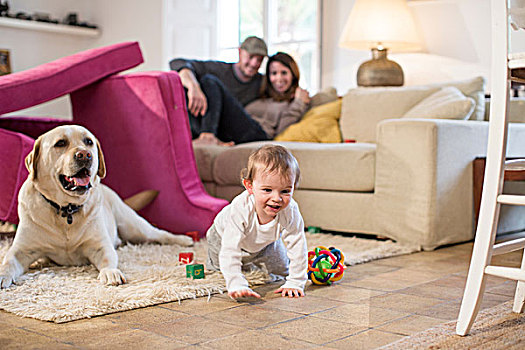 男婴,宠物,狗,玩,堡垒,沙发垫