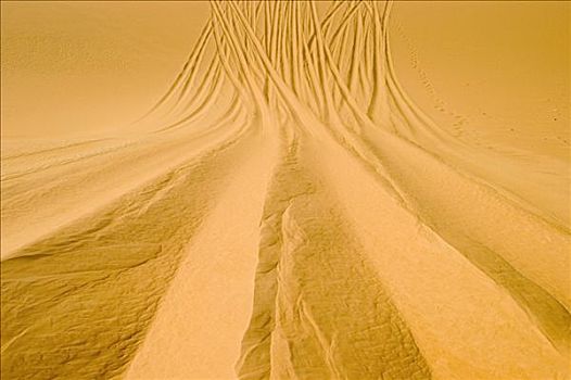 轮胎,黄色,沙漠,沙子