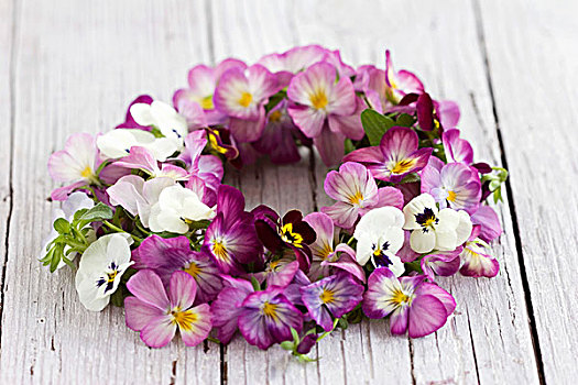 花环,有角,紫罗兰,木质背景