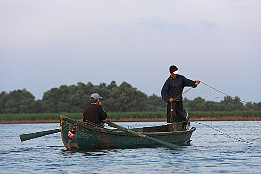 渔民,多瑙河三角洲,罗马尼亚,投掷,网,日落,湖,欧洲