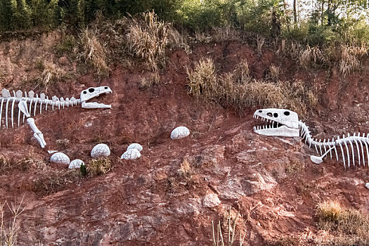 土壤中侏罗纪大型猛兽恐龙化石