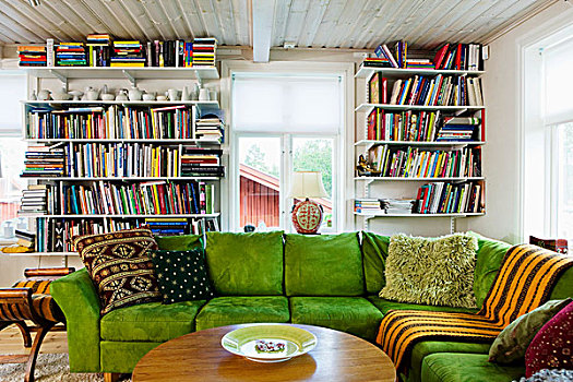客厅,绿色,角,沙发,正面,书架