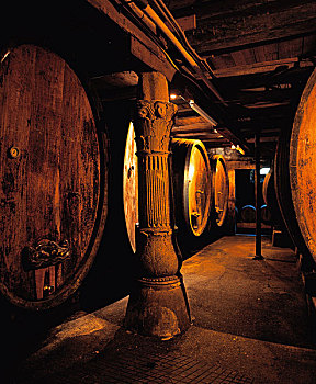 大,木桶,酒窖,法国