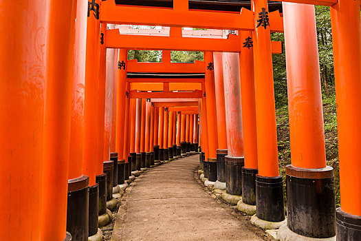 伏见,稻成,神祠,京都