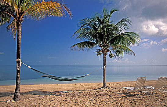 巴哈马,大巴哈马岛,岛屿,海滩风景,旅店,湾