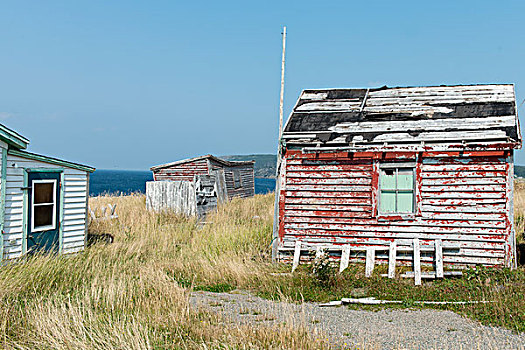房子,小湾,纽芬兰,拉布拉多犬,加拿大