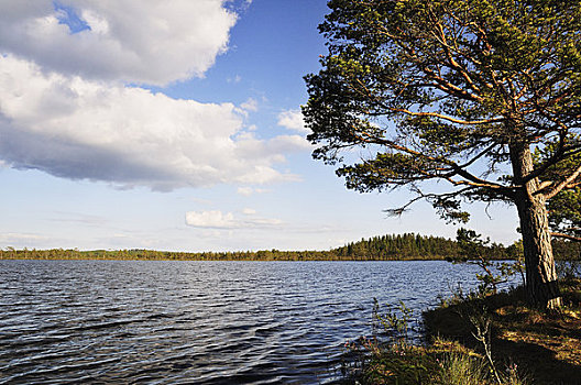 国家公园,瑞典