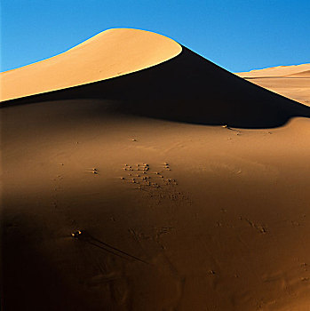 利比亚,撒哈拉沙漠,沙,沙漠,沙丘