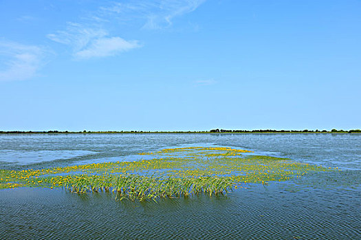 中国最美湿地,千鸟湖湿地