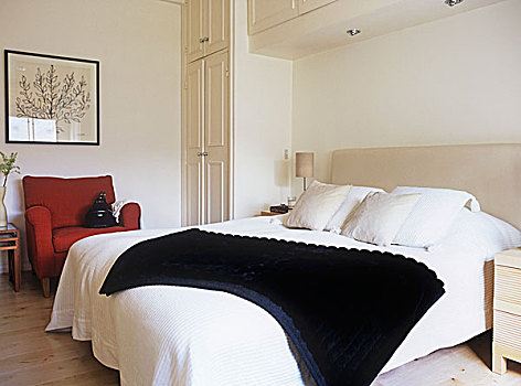 现代,卧室,彩色,双人床,软垫,扶手椅,合适,衣柜,床头板