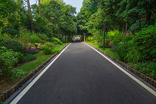 武汉,植物园,夏日,迷人,风光