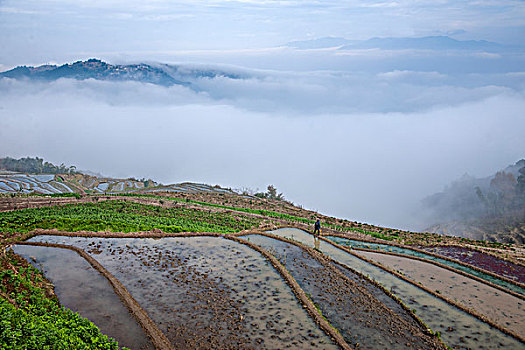 云南元江那诺乡观音山梯田