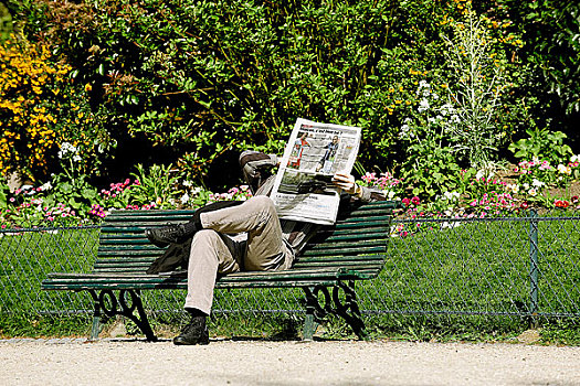 法国,巴黎,花园,男人,读,长椅