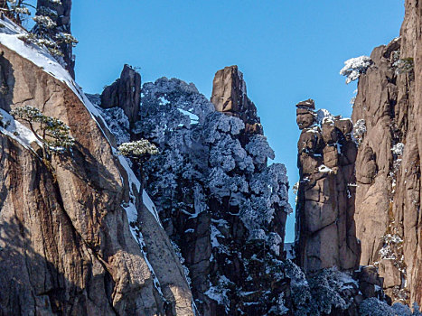 中国安徽黄山风景区,冬日雪后奇峰怪石林立,云雾飘渺宛若仙境