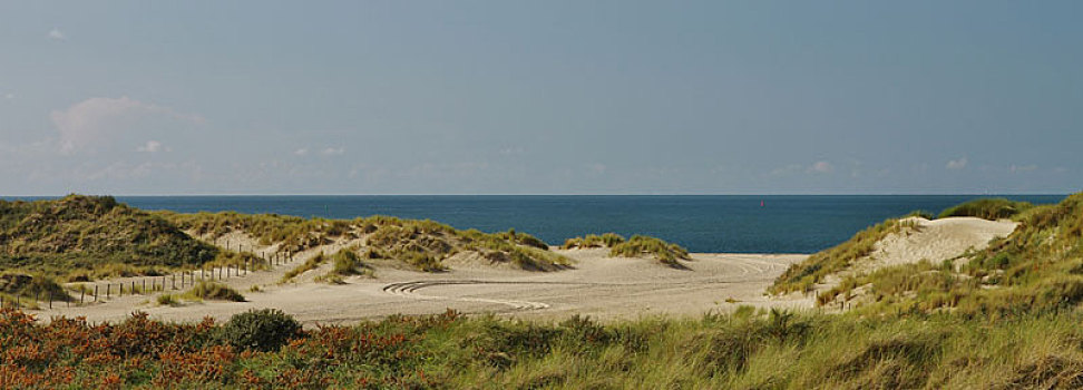 风景,沙丘,海滩,北海