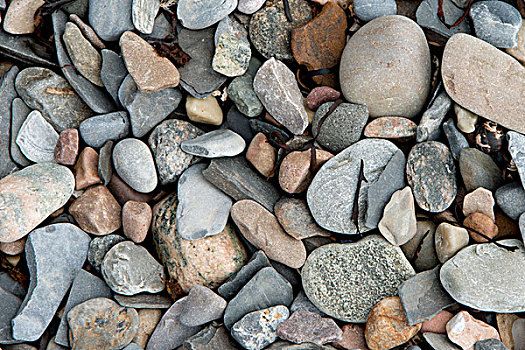 特写,鹅卵石,格罗莫讷国家公园,纽芬兰,拉布拉多犬,加拿大