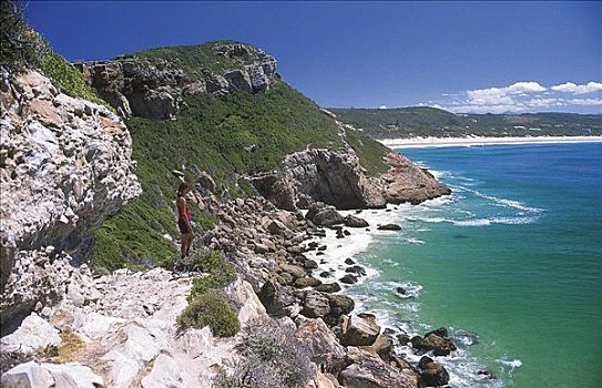 自然保护区,靠近,湾,峻岸,石头,海洋,花园大道,南非