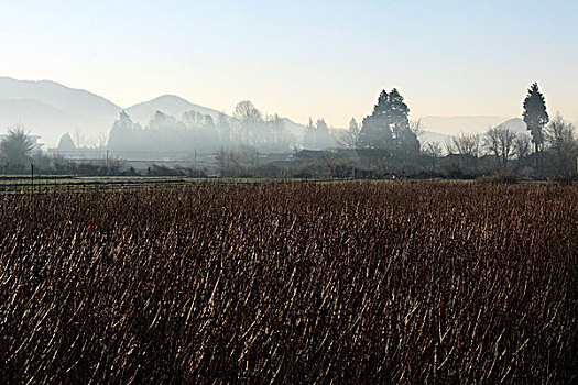 丽江的周边景观