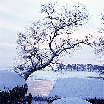 雾凇岛,冰雪,自然风光,吉林,龙潭区