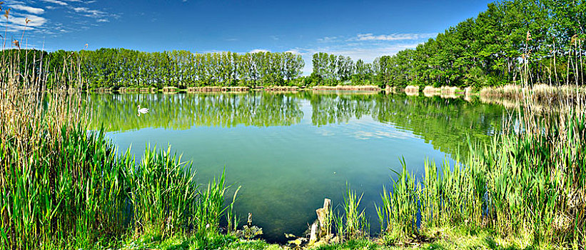 德国,图林根州,自然保护区,水塘,风景,露天开采,洞