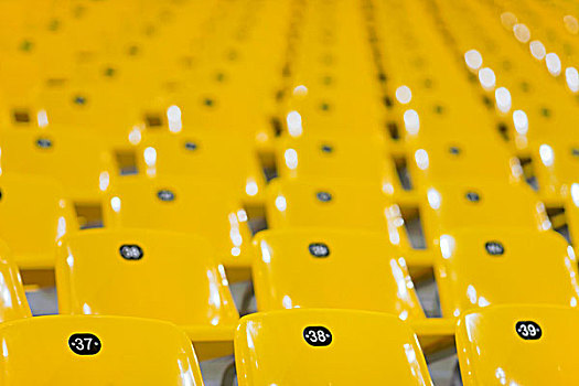 黄色,体育场看台