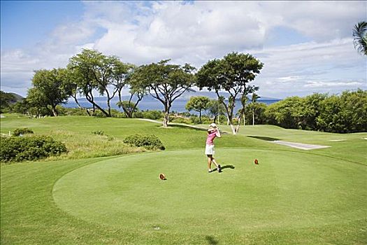 夏威夷,毛伊岛,黄金,高尔夫球场,晃动,高尔夫球杆