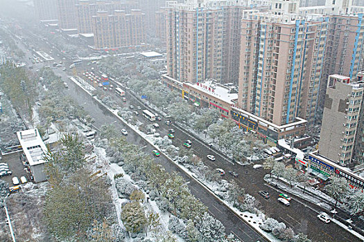 城市雪景