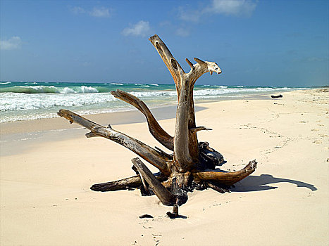 尤卡坦半岛