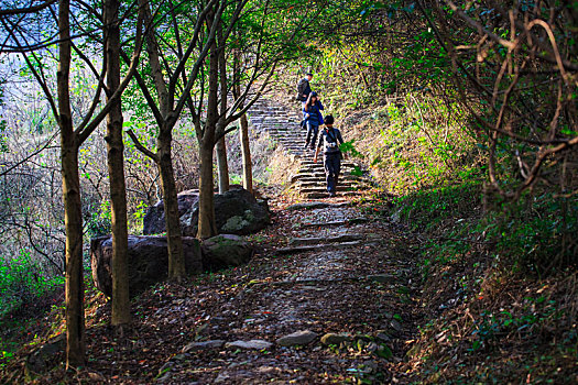 海曙,龙观,大松湾古道,芦苇,山路,古道,夏天,阳光,天空