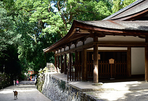日本春日社的古建筑