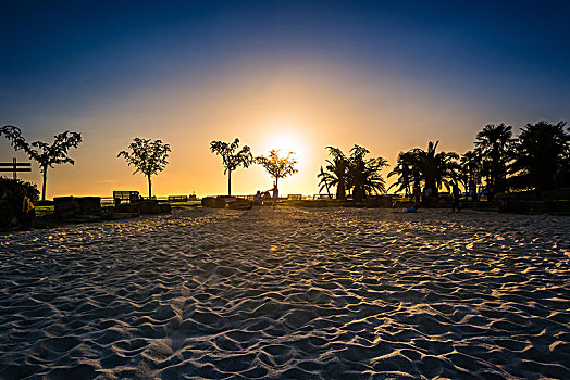 美女,日落,椰树,斯里兰卡,海滩