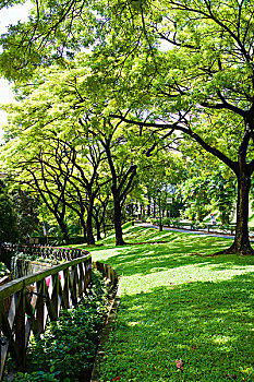 花园城市