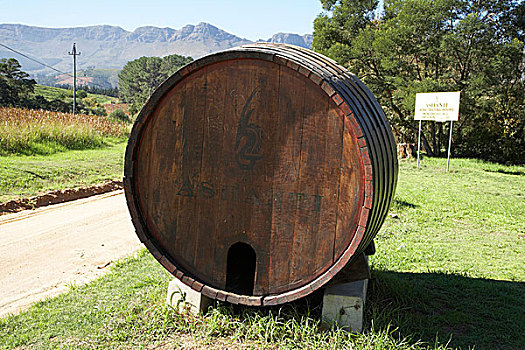 木质,葡萄酒桶,途中,葡萄酒厂,南非