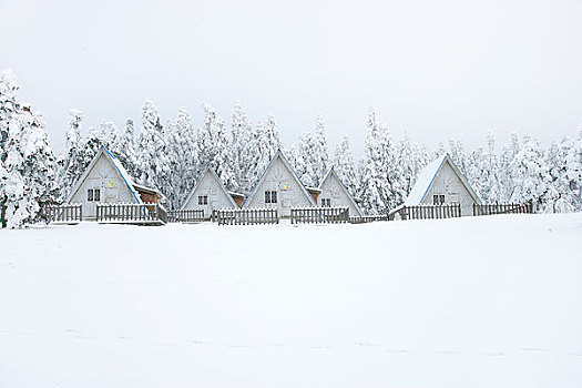 重庆武隆仙女山雪景