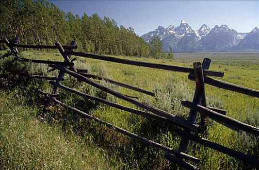 围栏,地点,山峦,背景,特顿山脉,大台顿国家公园,怀俄明,美国