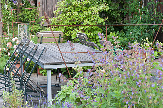 座椅,木质露台,自然,花园