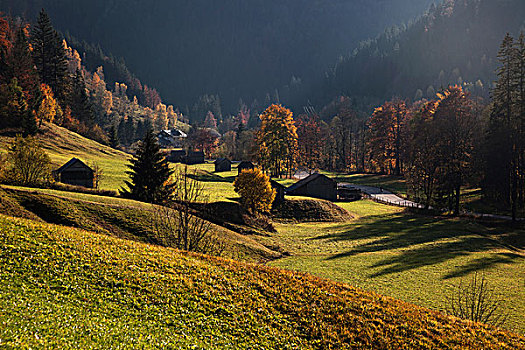 秋天,彩色,树,山谷,靠近,巴伐利亚,德国,欧洲