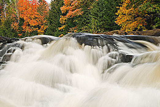 瀑布,乡村,区域,安大略省,加拿大
