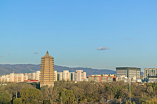 北京慈寿寺塔全景