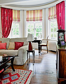 客厅,凸窗,条纹,罗马,百叶窗,粉色,帘,格子,窗户,沙发,老式,边桌,前景