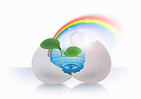 蛋,彩虹,水,幼苗,数码制图
