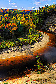 堤岸,大,东河,秋天,省立公园,安大略省,加拿大