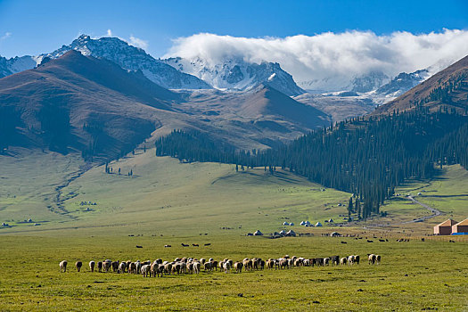 新疆伊利那拉提空中草原