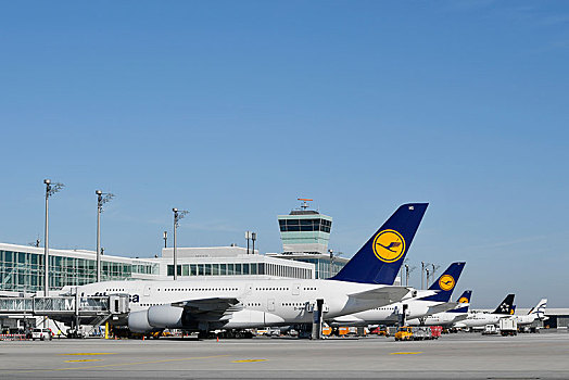 汉莎航空公司,空中客车,航站楼,慕尼黑,机场,上巴伐利亚,巴伐利亚,德国,欧洲