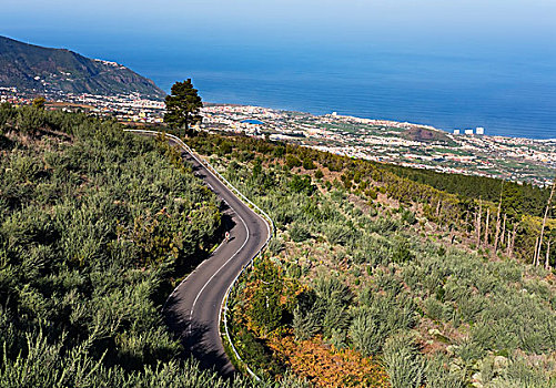 山路,山谷,后面,特内里费岛,加纳利群岛,西班牙,欧洲