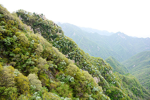 秦岭风光