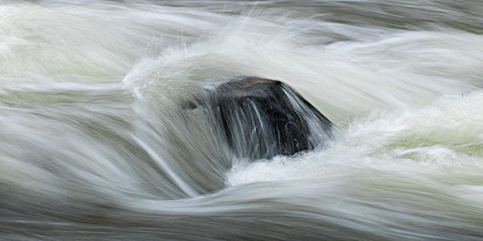 水,流动,石头,急促,河,省立公园,安大略省,加拿大