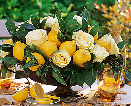 安放,柠檬,玫瑰,月桂叶
